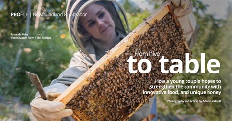 pollen nation free|Pollen Nation Farm .